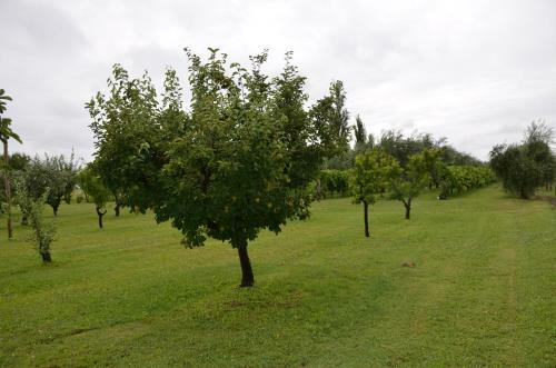 Apartamento Finca Fisterra