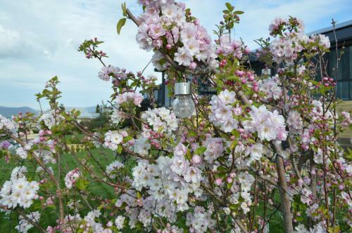 Bed & Breakfast La Riviera