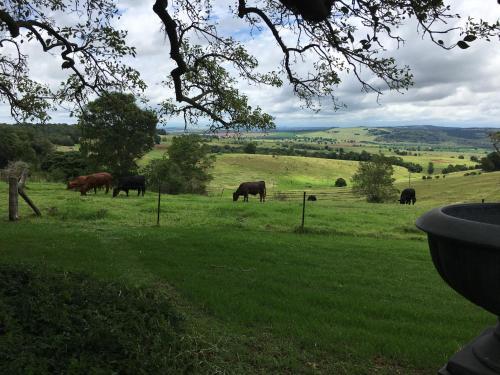 Agroturismo Hillview Cottages