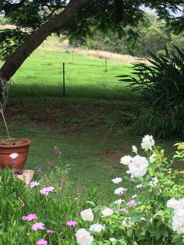 Agroturismo Hillview Cottages