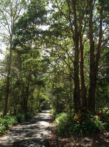 Maleny Country Cottages