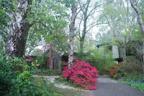 Rocky Creek Art Garden B&B