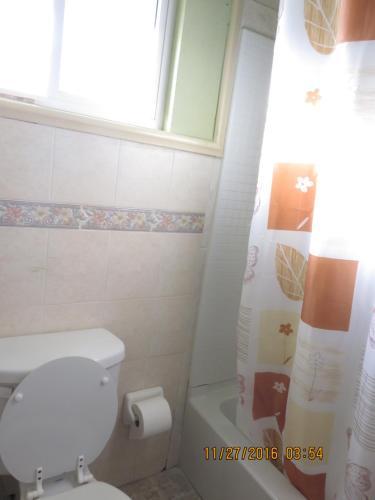 Apartamento Winton Retreat Studio