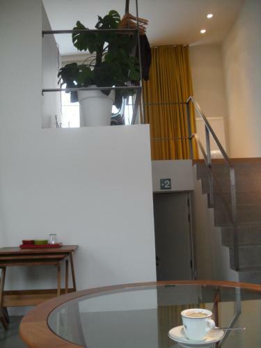 Hostal Loftsuite