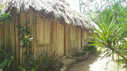 Hotel Clarissa Falls Resort