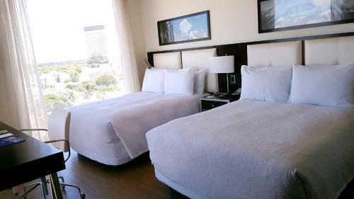 Hotel Hampton By Hilton Santa Cruz