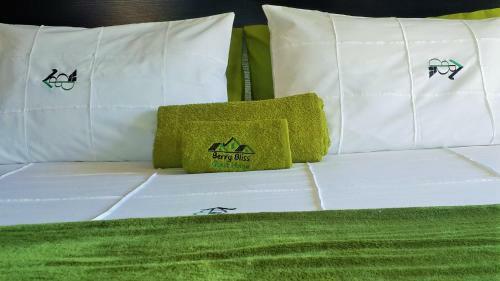 Hostal Berry Bliss Guest House
