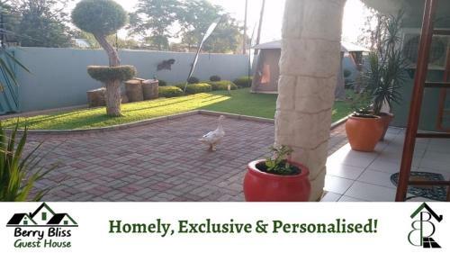 Hostal Berry Bliss Guest House