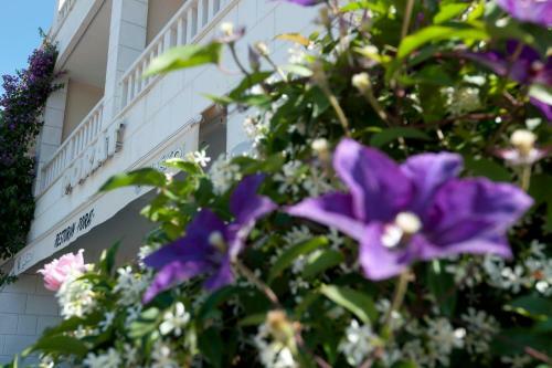 Hotel Porat
