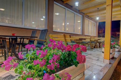Motel Tihe Noci
