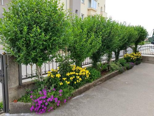 Hostal Pansion Speranza Me?ugorje