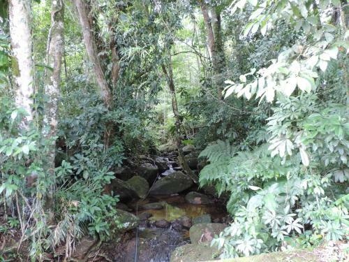 Casa Orqu�deas Ubatuba Praia Da Lagoinha
