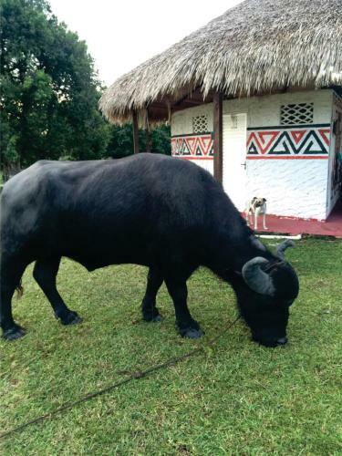 Agroturismo Pousada Marajoara