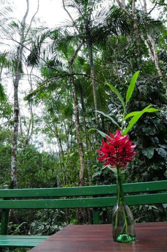 Bed & Breakfast Sitio Namaste Paraty