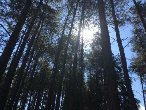 Hostal Pousada Cant�o