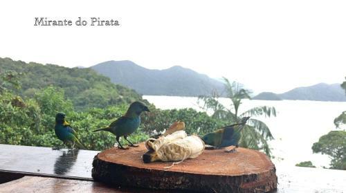 Hostal Mirante Do Pirata