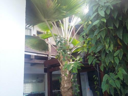 Hotel Casa Blanca Porto Seguro