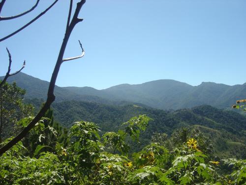 Org�nica-mente B&B