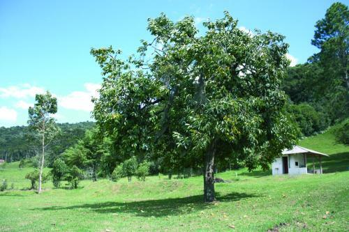 Lodge Hospedagem Nossa Senhora Das Gra�as