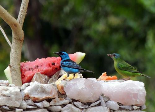 Bed & Breakfast Canto Verde