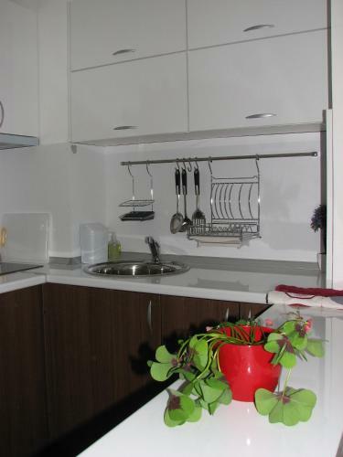 Two-bedroom Apartment Donika