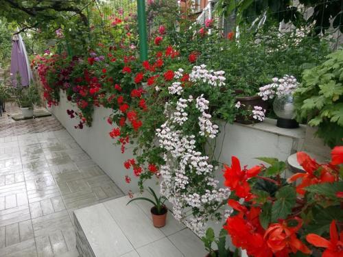 Hostal Georgievi Homestay