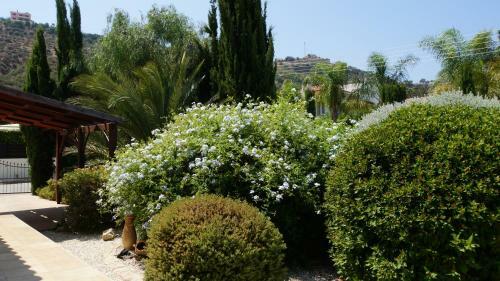 Villa Pissuri