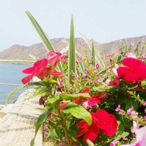 El Mirador Hostel Club Social