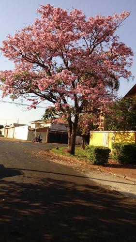 Pousada Da C�lia