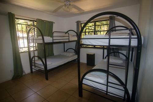 Wipeout Hostel