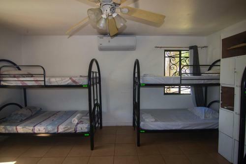 Wipeout Hostel