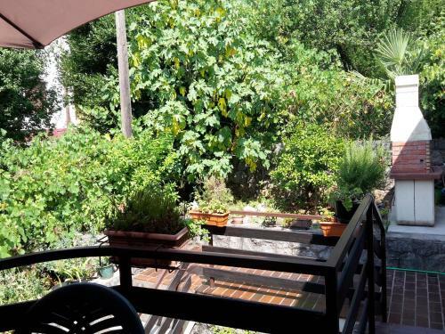 Apartamentos Villa Andreina 1897