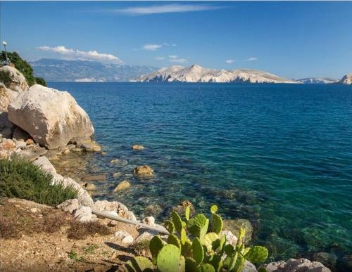 Hostal Guest House Villa Baska