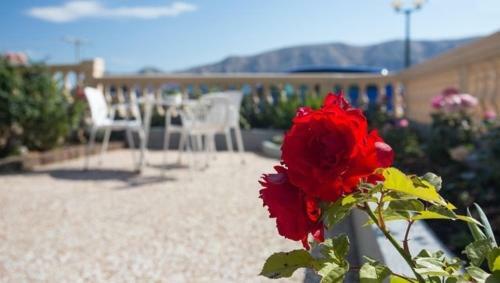 Hostal Guest House Villa Baska