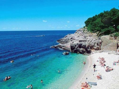 Apartman Zelena Oaza Sisan