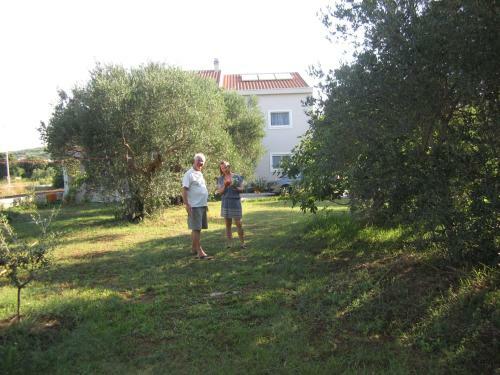 Apartments Franov