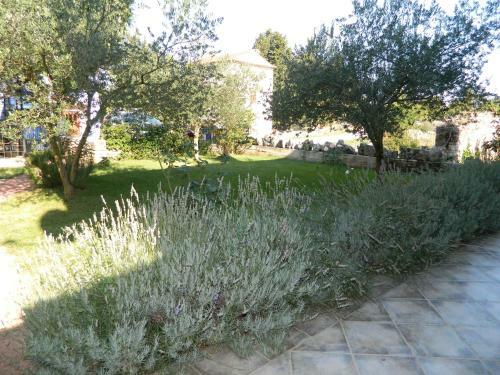 Holiday House Olania