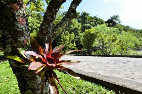 Agroturismo Spa Igarat�