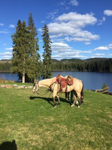 Agroturismo Montana Hill Guest Ranch