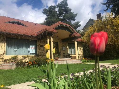 Mistiso's Place Vacation Rentals