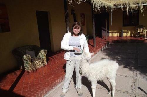 Hotel Pachamama Hostel & Tour