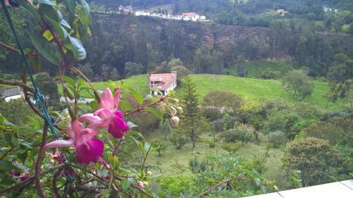 Hotel Terrazas Hospedaje
