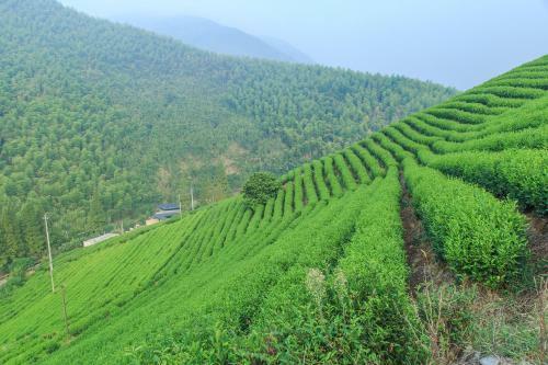 Agroturismo Wangshan Country House