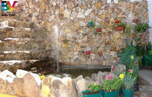 Bed And Breakfast Mario Y Patricio