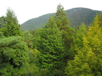 Hakone Hotel Kowakien