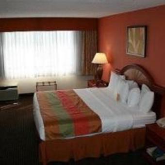 Hotel Holiday Inn Chicago North Shore