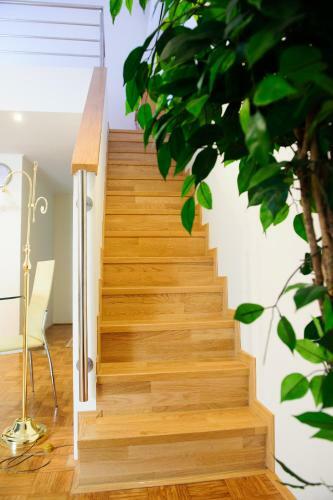 Apartments Mihole - Vila Golf