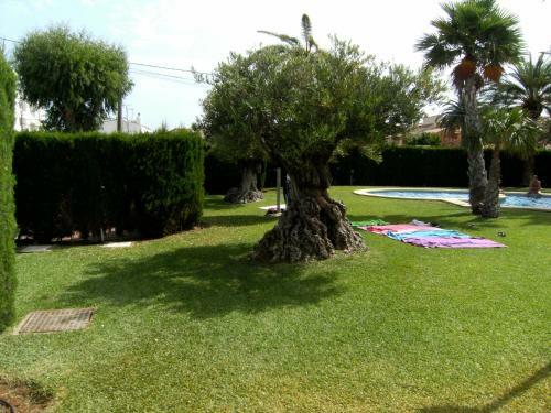 Apartamento Sue�o De Denia Uno