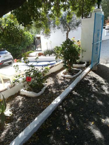 Hostal Olive Branch