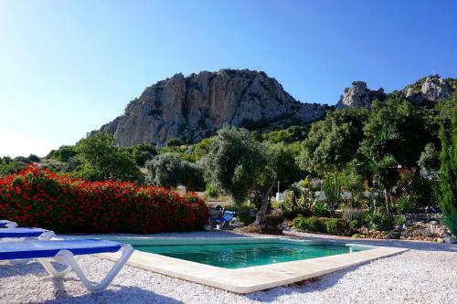 Hostal Olive Branch